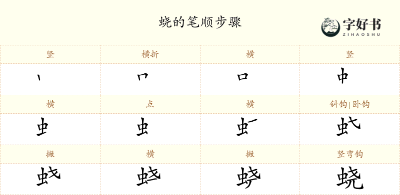 蛲