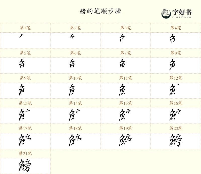 鰟