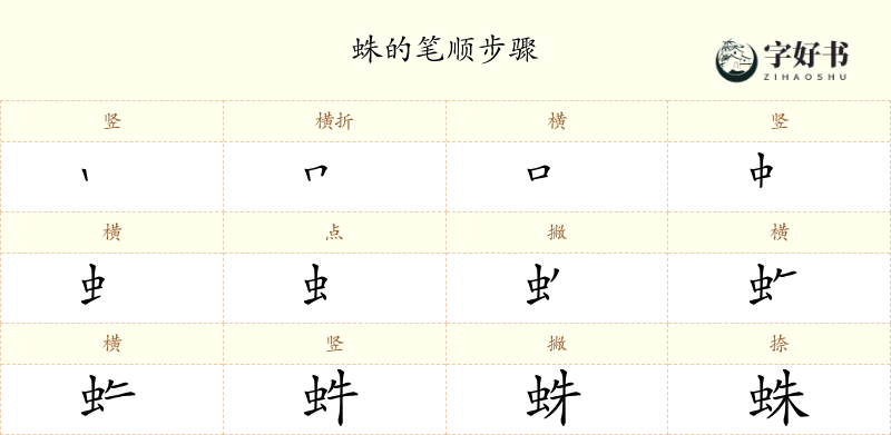 蛛