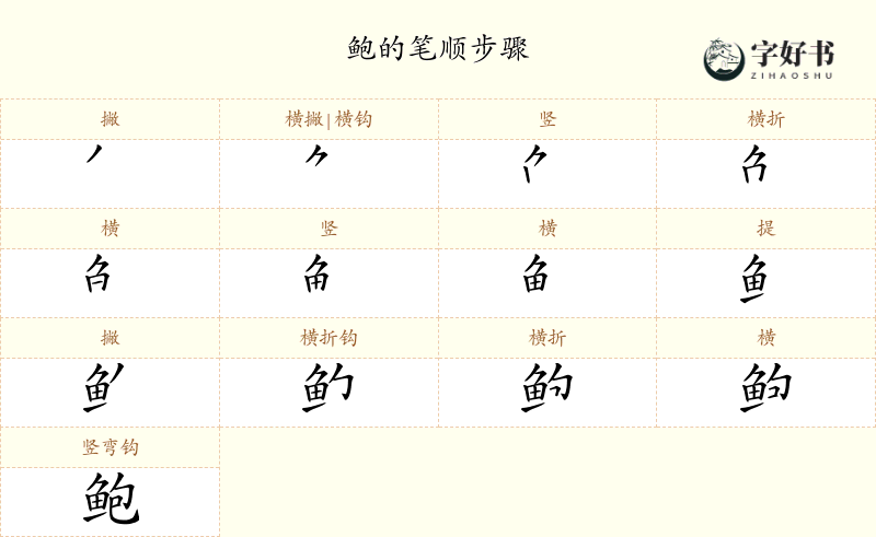 鲍