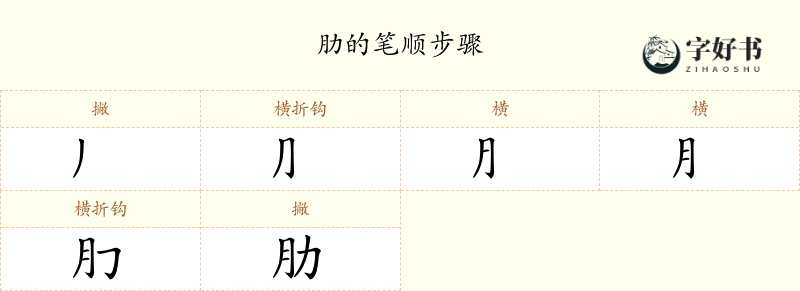 肋