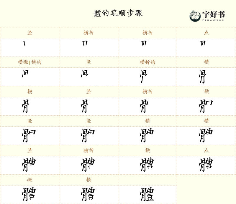 體
