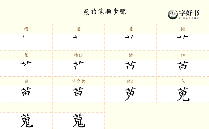 蒐