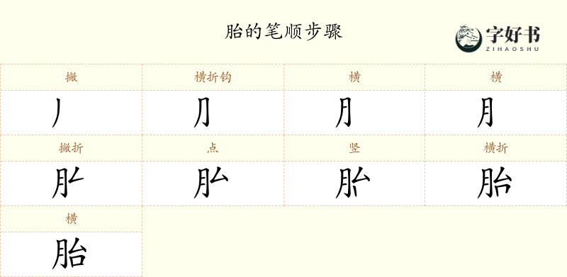 胎