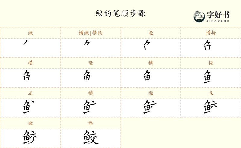 鲛