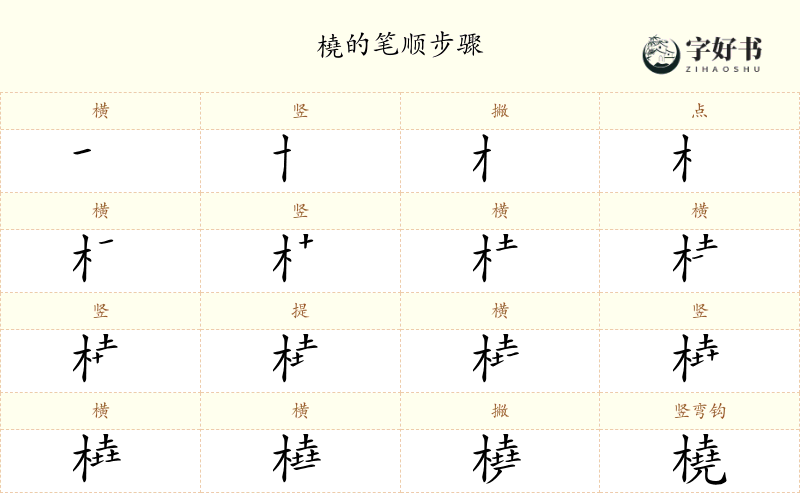 橈