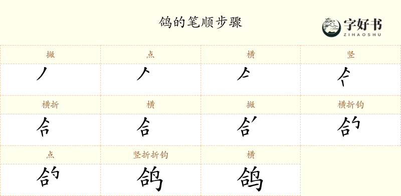 鸽