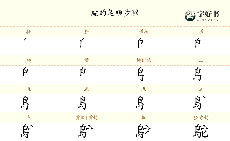 鴕