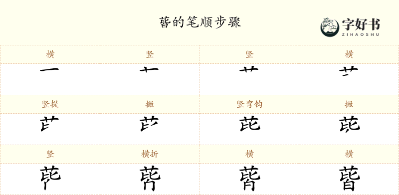 蒈