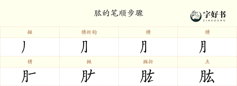 肱