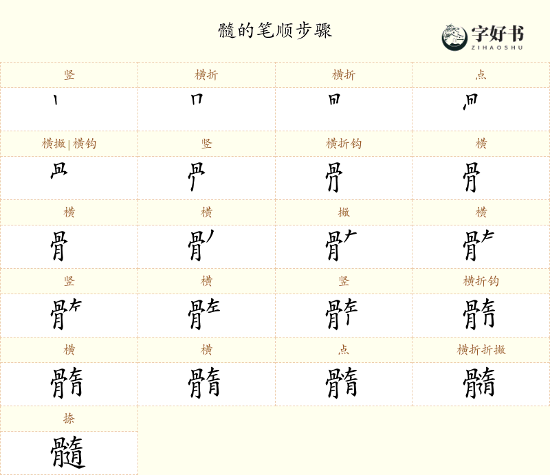 髓