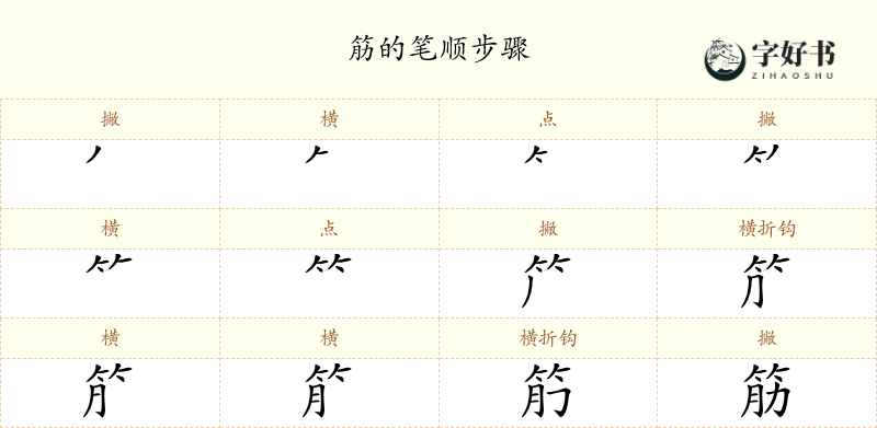 筋