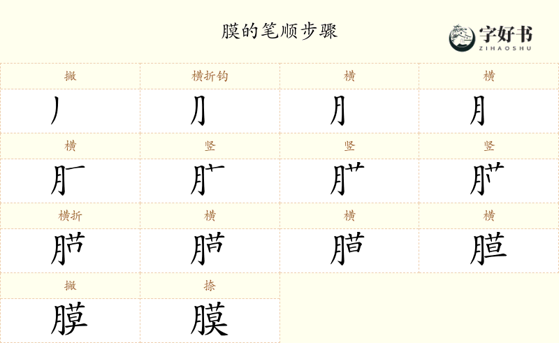 膜