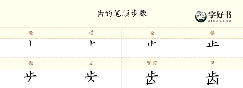齿