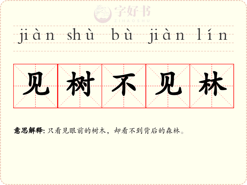 见树不见林