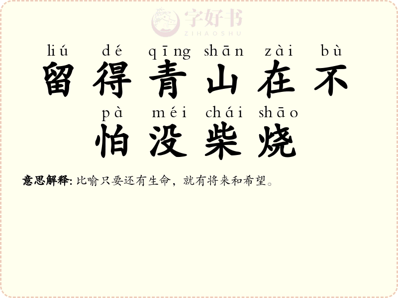 留得青山在不怕没柴烧