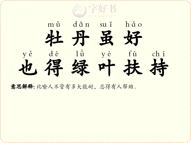 牡丹虽好，也得绿叶扶持