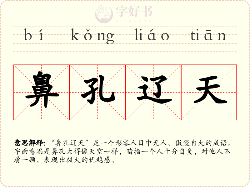 鼻孔辽天