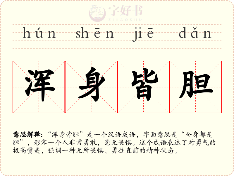 浑身皆胆