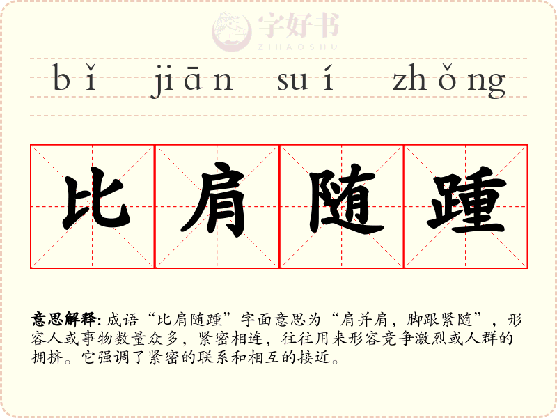比肩随踵