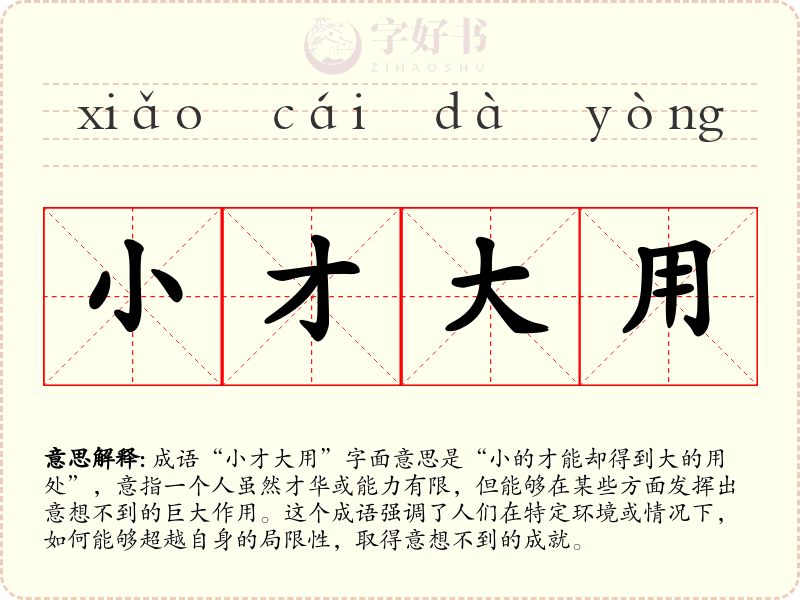 小才大用