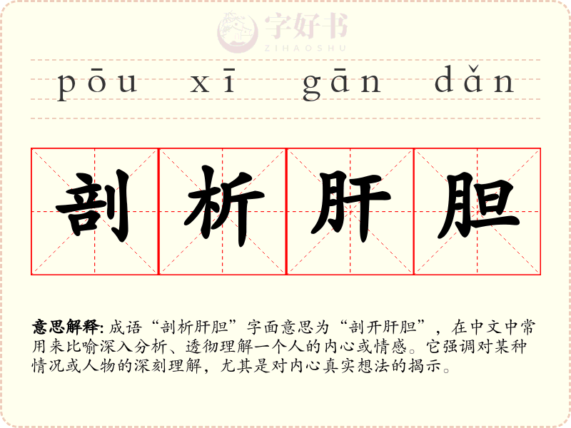 剖析肝胆