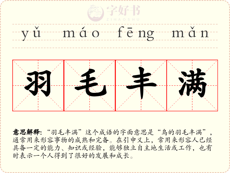 羽毛丰满