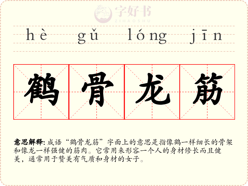 鹤骨龙筋