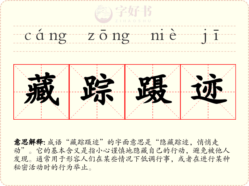 藏踪蹑迹