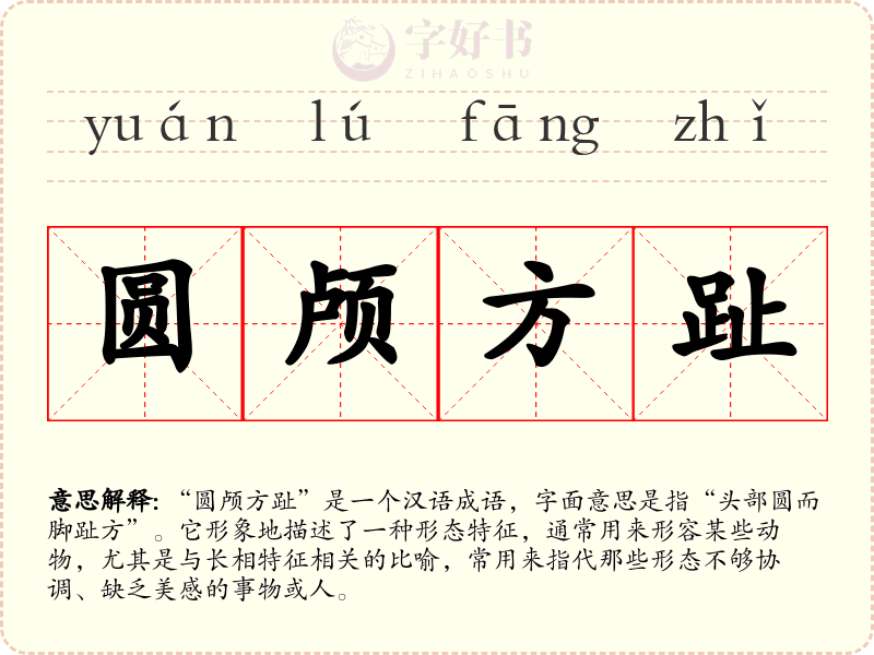 圆颅方趾