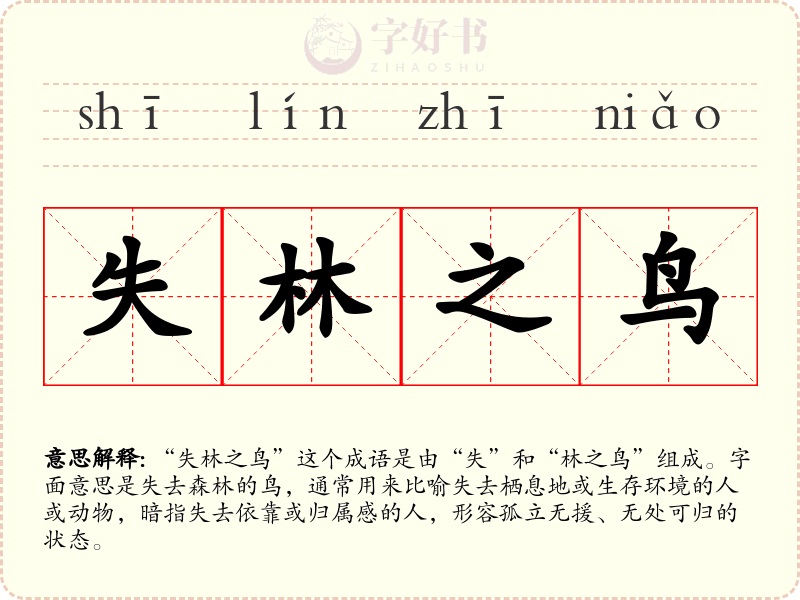 失林之鸟