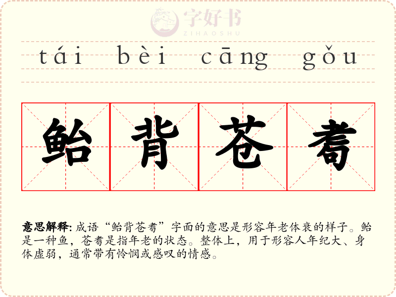 鲐背苍耈