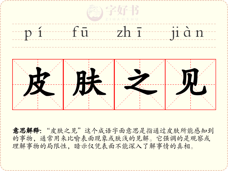 皮肤之见
