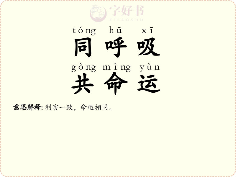同呼吸，共命运
