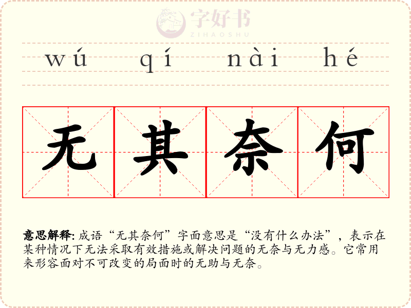 无其奈何