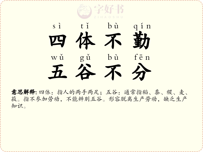 四体不勤，五谷不分