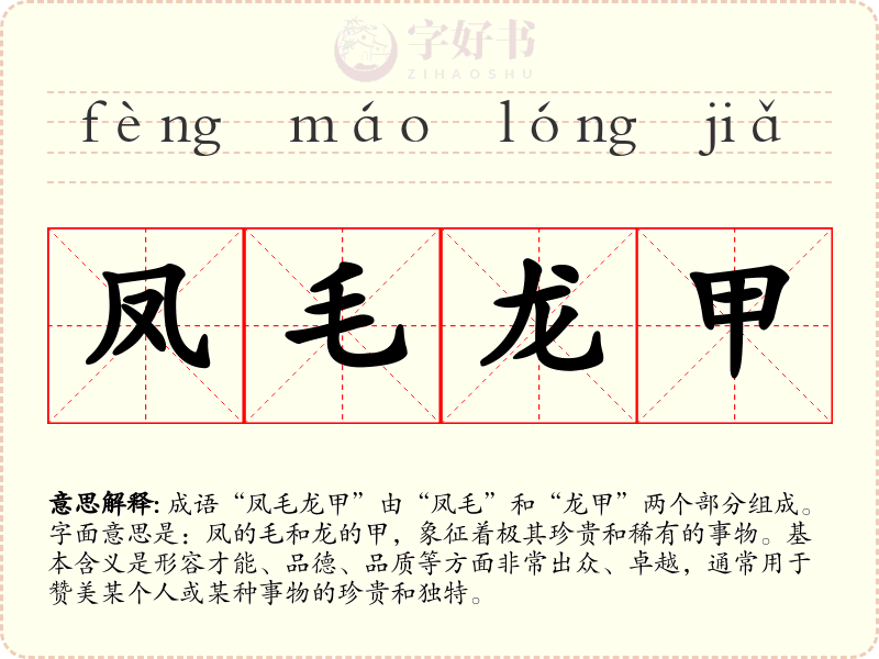 凤毛龙甲