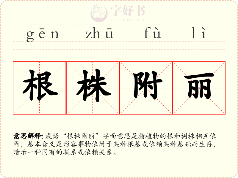 根株附丽