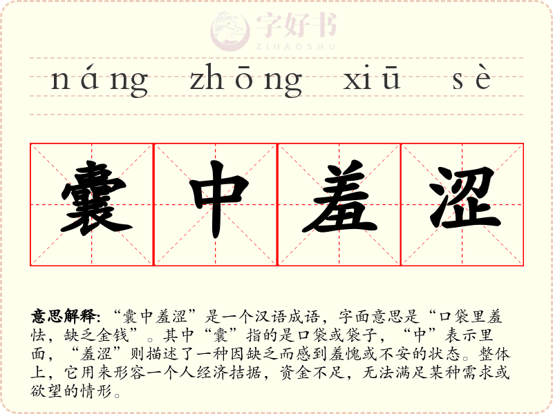 囊中羞涩