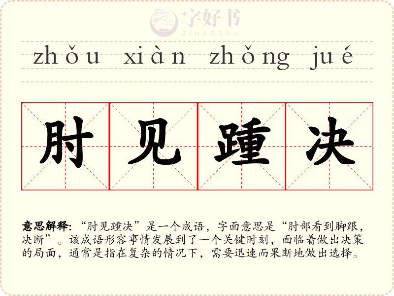 肘见踵决