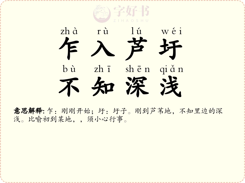 乍入芦圩，不知深浅