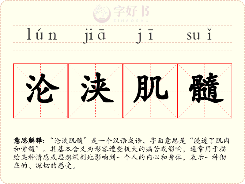 沦浃肌髓