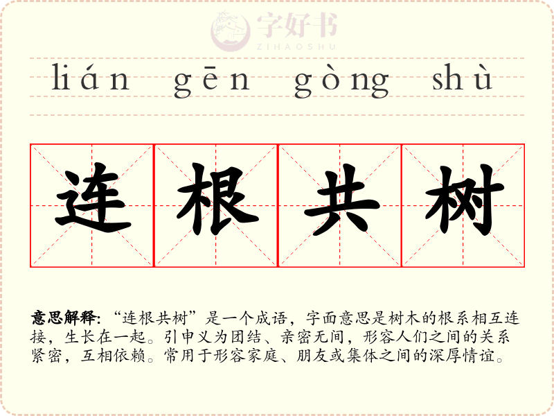 连根共树