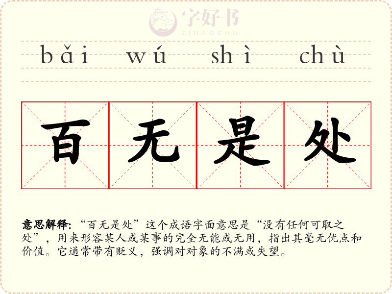百无是处