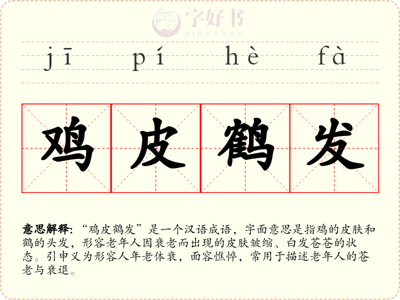 鸡皮鹤发