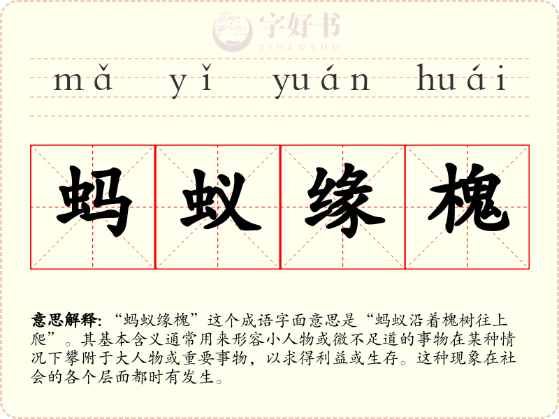 蚂蚁缘槐