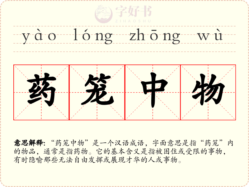 药笼中物