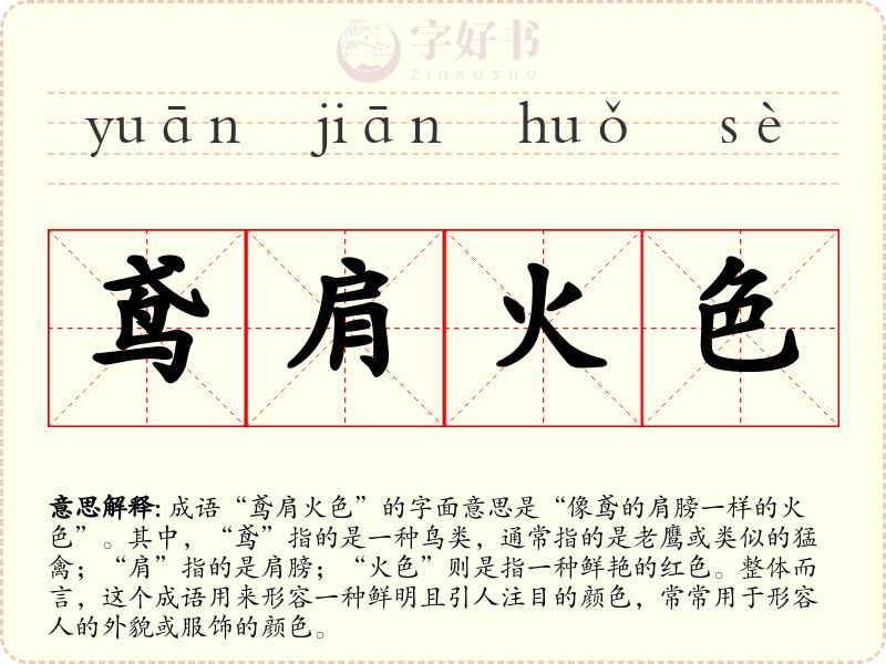 鸢肩火色