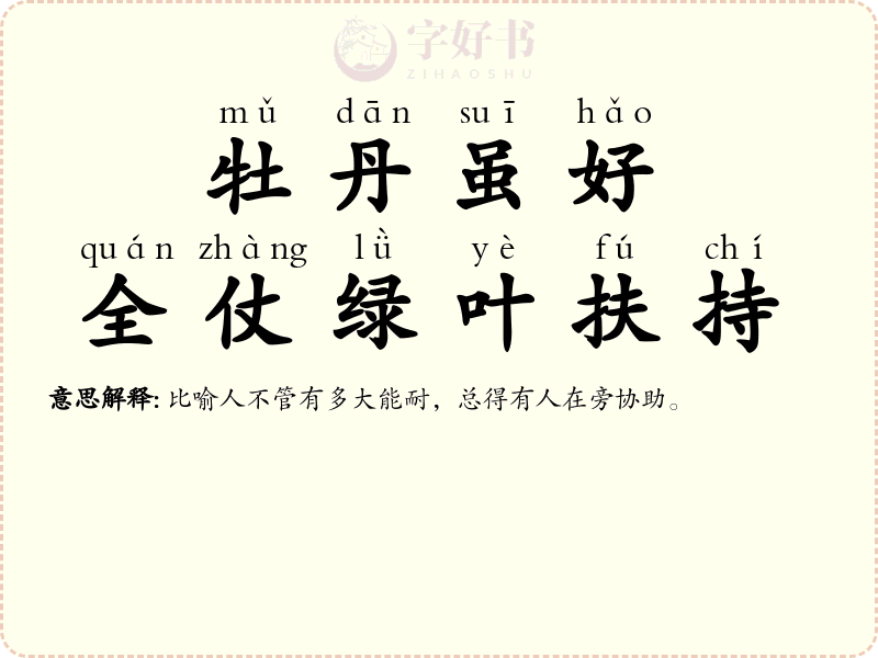 牡丹虽好，全仗绿叶扶持