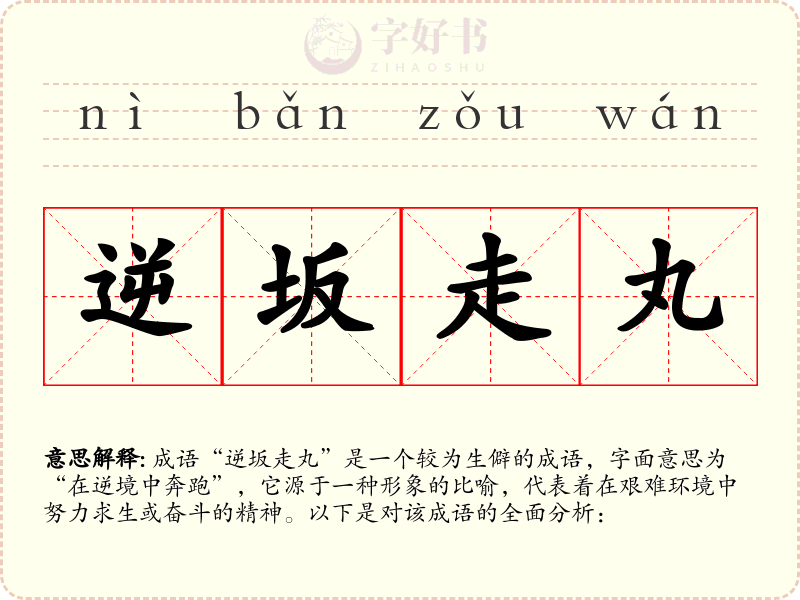 逆坂走丸